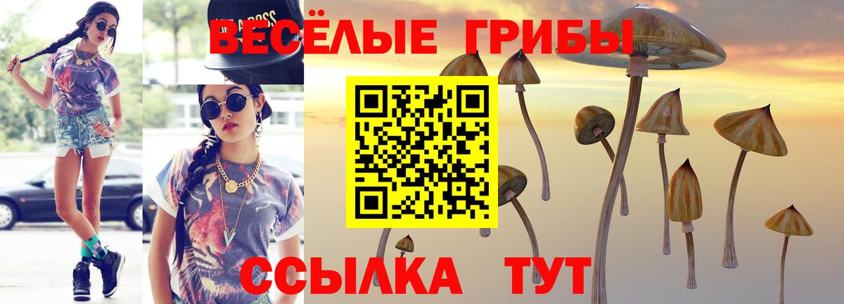 Псилоцибиновые грибы GOLDEN TEACHER  Вход с VPN  Среднеуральск 
